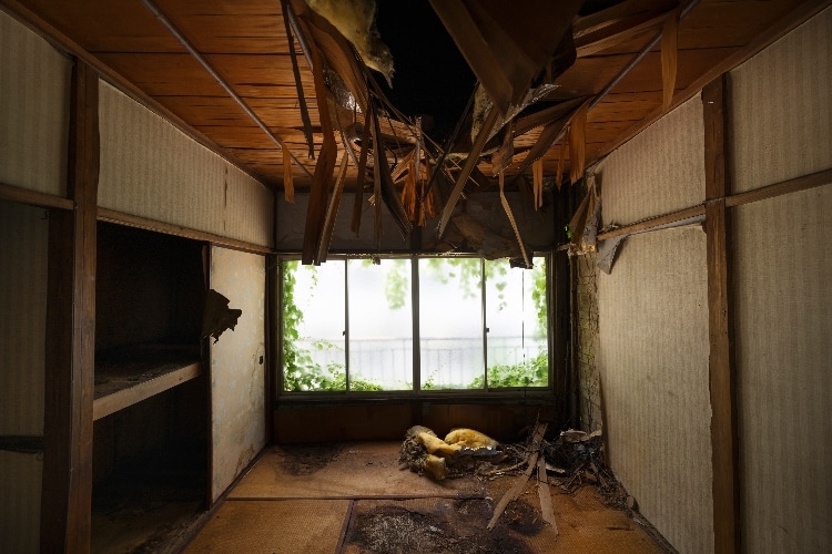 Rent a Dumpster for Fire Damage Cleanup After the LA Wildfires