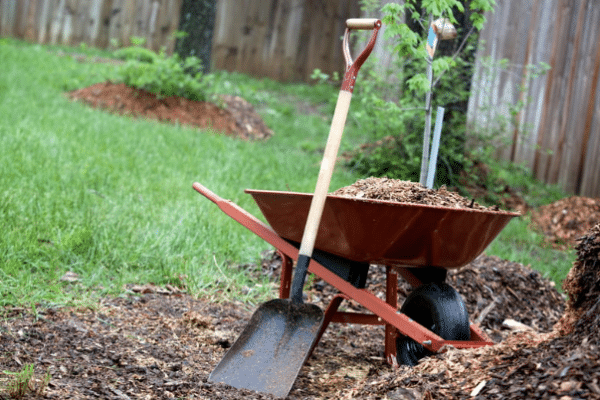 Dumpster Rental for Fall Cleaning: A Step-by-Step Guide (Los Angeles Homeowners Edition)